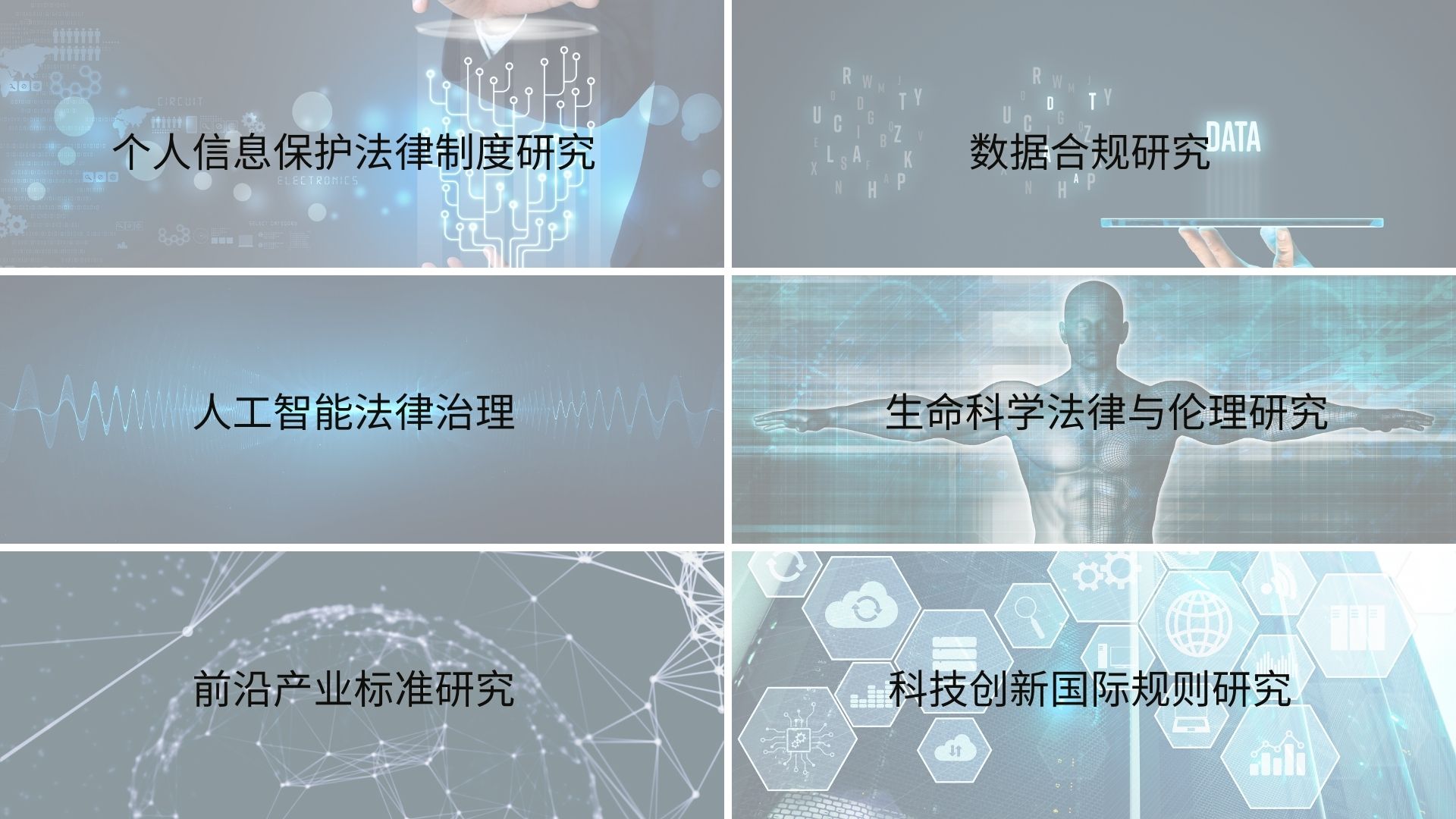 前沿领域正文.jpg